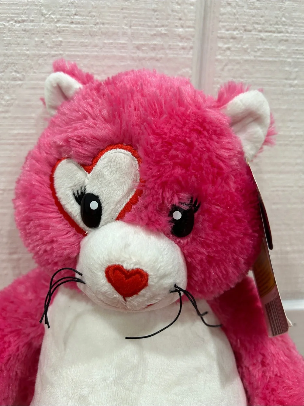 Build-A-Bear 2012 Retired Kisses Fur You Kitty Valentine Plush Cat 17